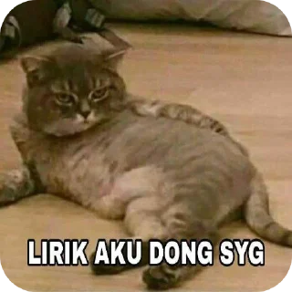 Lirik Aku