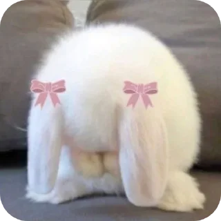 Bow Bun