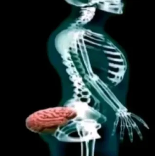 Brain Exit