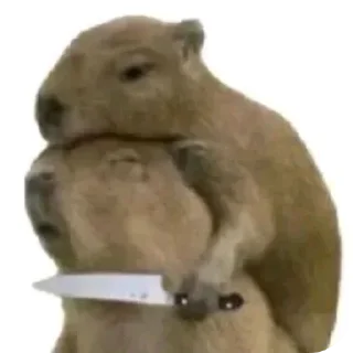Capy Hug